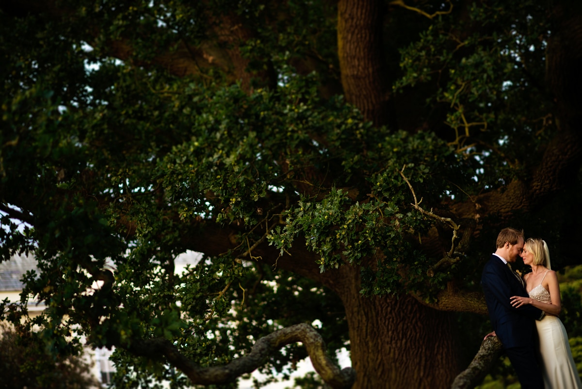 portrait of bride and groom under Oak tree, Suffolk