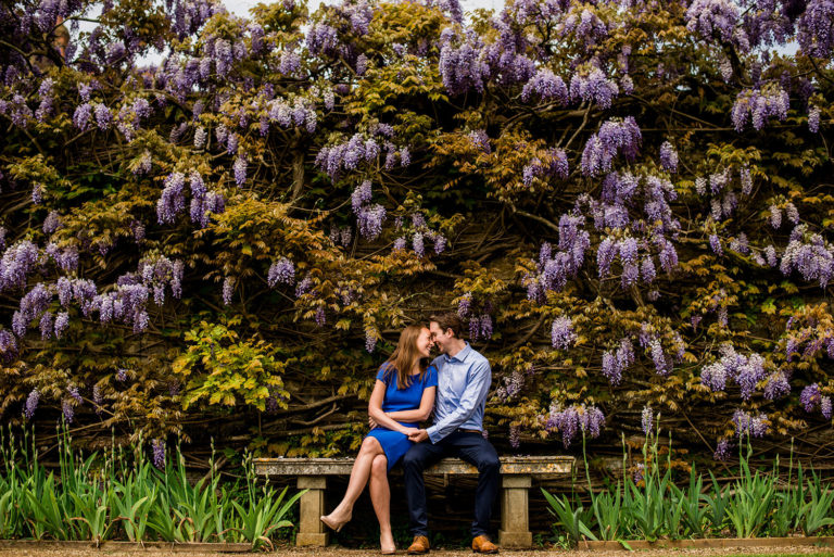 Loseley Park Wisteria, engagement photos