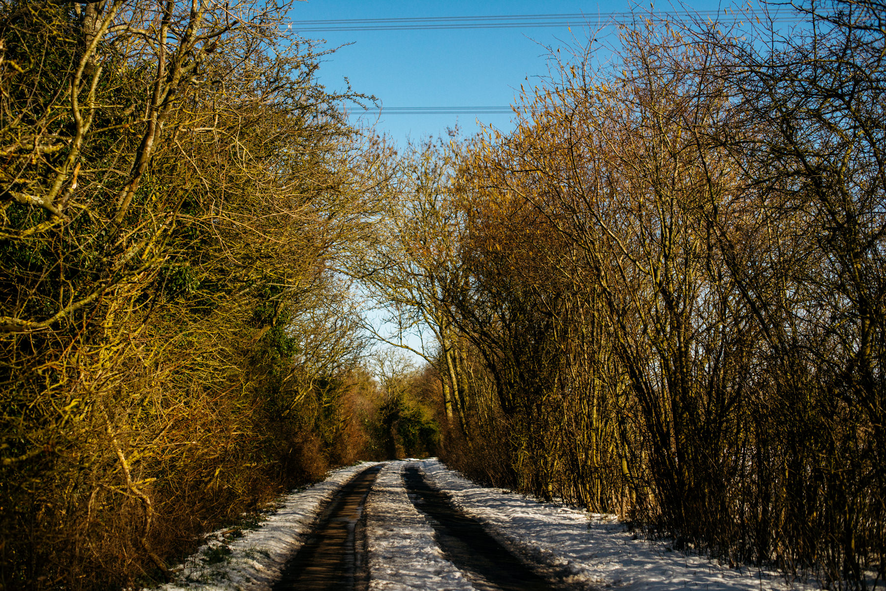 Cotswolds snowy road